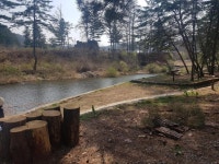 아트인아일랜드