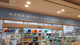 몽몽이펫샵 잠실롯데월드점