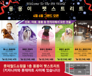 몽몽이펫샵 잠실롯데월드점