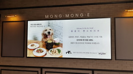 몽몽이미용실 잠실롯데월드점