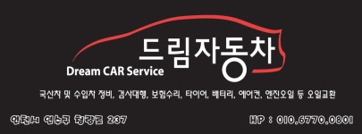 드림자동차