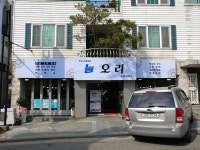 늘오리