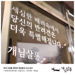 개님살롱