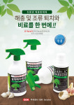 빌드림