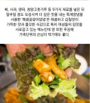 참숯자연산바다장어