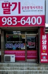 단지내딸기공인중개사사무소