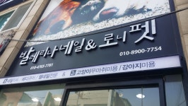 로니펫