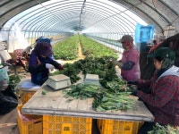 희정이네해남농장