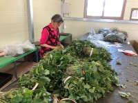 희정이네해남농장