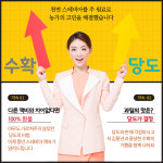 김풍년 스테비아