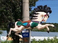 마리조아 승마클럽