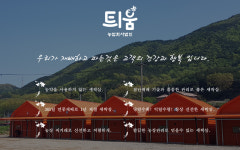 찐새싹삼 | 틔움새싹삼농장