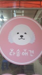 다솜애견