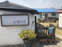 로뎀나무