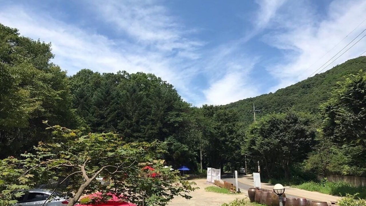 해독건강밥상 산이내린 곤드레꽃밥