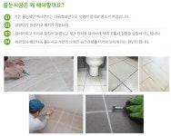 늘푸른청소
