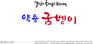 제주벅스코리아