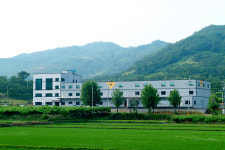 뉴지케이푸드