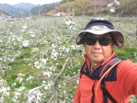 하늘녘싱싱팜