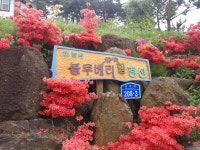 하늘녘싱싱팜