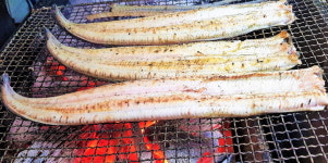 산들에농원 민물장어