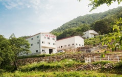 대동승마랜드