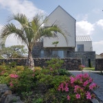 마르가리따인제주