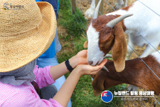 명상여행사