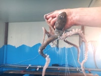 육해공식당