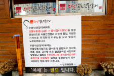 부영장어