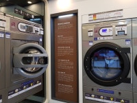 화이트365 울산성안점