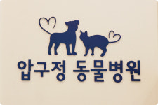 압구정동물의료센터