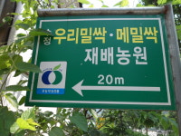수정바이오팜