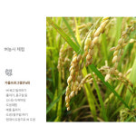 경기농촌체험휴양마을협의회