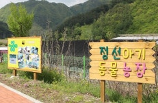 정선아기동물농장