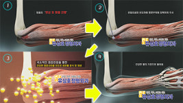 유상호정형외과의원