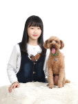 드림스튜디오