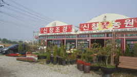 신창조경