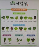 늘푸른삼겹쌈