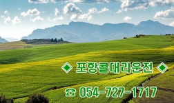 포항콜대리운전