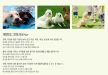 에덴도그파크