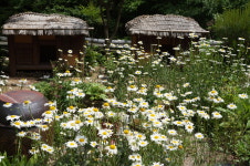 지리산들꽃산방한옥계곡펜션
