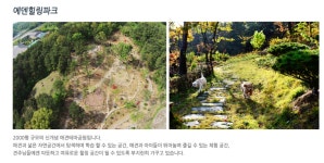 에덴애견훈련학교