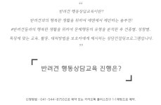 에덴애견훈련학교