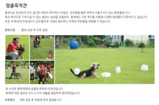 에덴애견훈련학교
