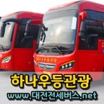 하나우등관광