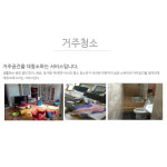 늘푸른청소