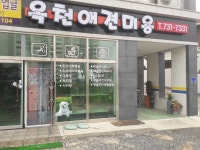 옥천애견미용