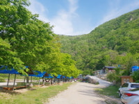 성주 산그늘펜션