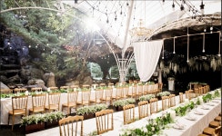 관가 그레이스 K